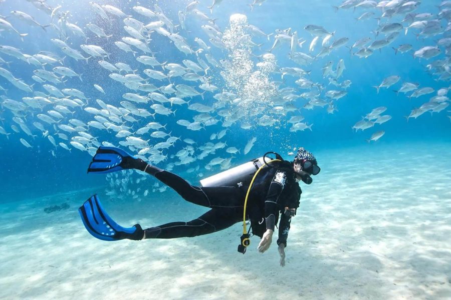 Diving