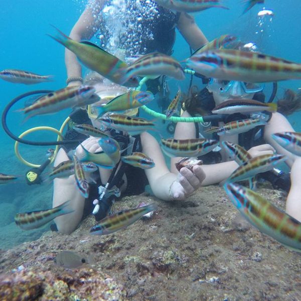 Diving in Kemer