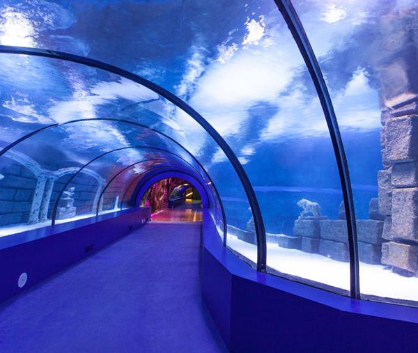 Antalya Aquarium - The World's Largest Tunnel Aquarium
