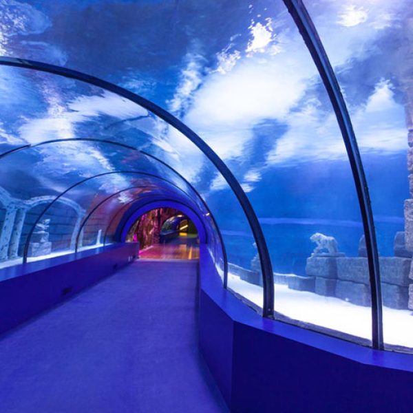 Antalya Aquarium - The World's Largest Tunnel Aquarium